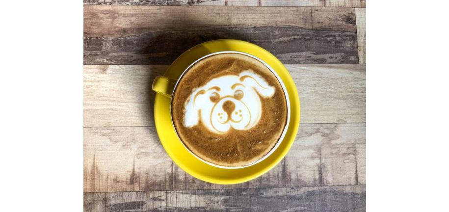 犬がコーヒーを飲んだ場合の対処法とは？