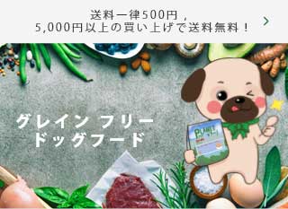 グレイン フリー ドッグフード
