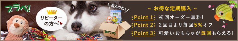 ドッグフード