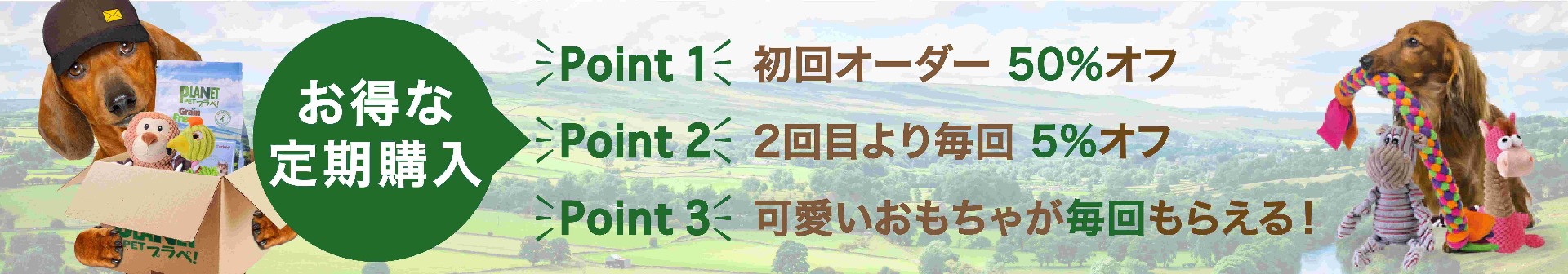 ドッグフード