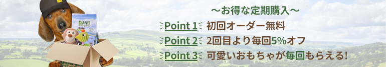 ドッグフード